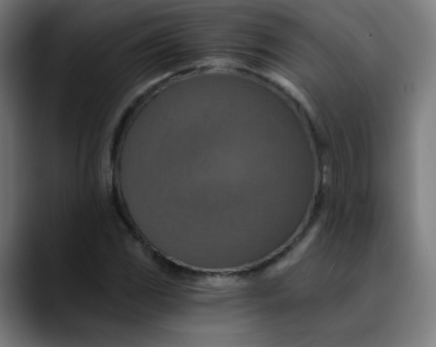 X0000089731117200707121444