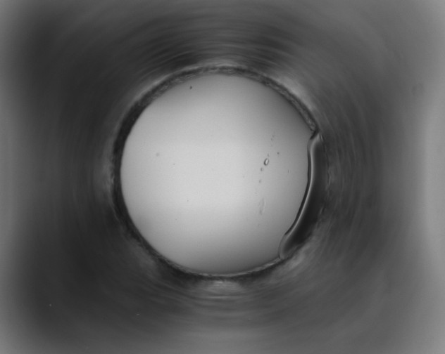 X0000089731119200707121444