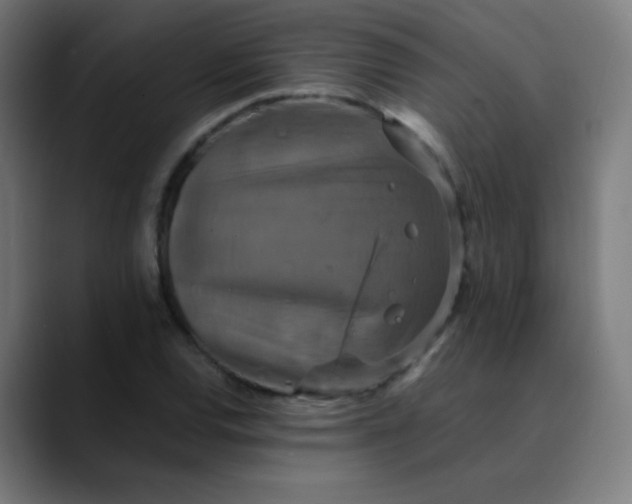 X0000089731120200707121444