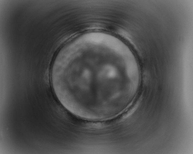 X0000089731121200707121444