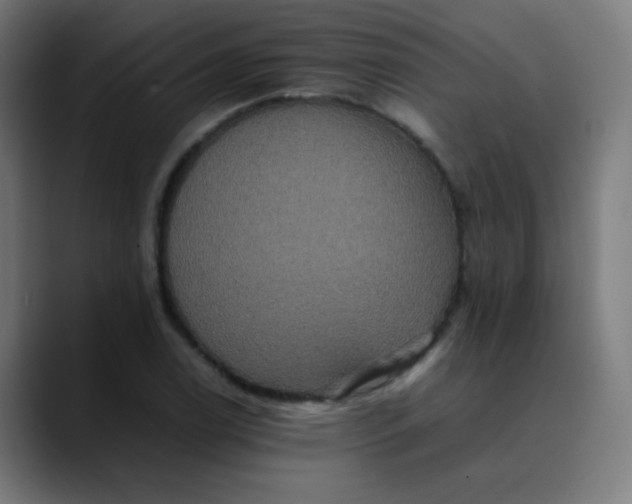 X0000089731122200707121444