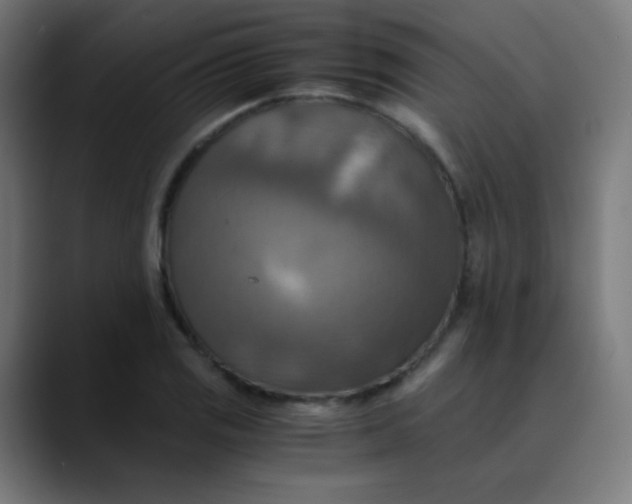 X0000089731125200707121444