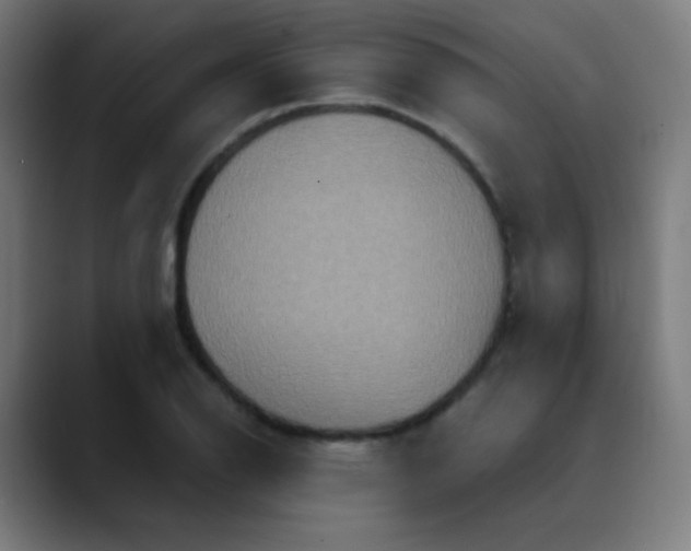 X0000089731126200707121444