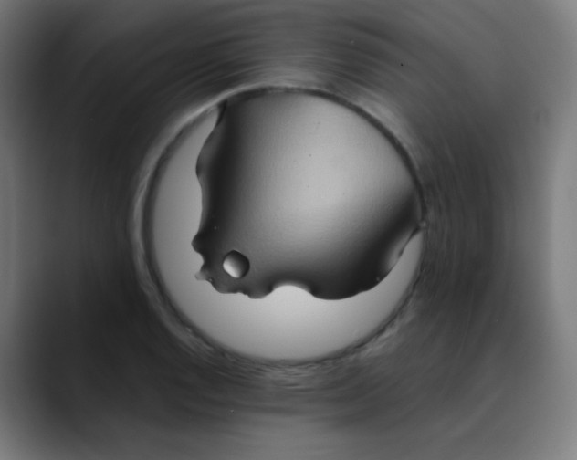 X0000089731128200707121444