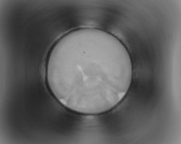 X0000089731130200707121444