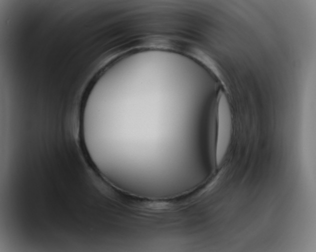X0000089731131200707121444
