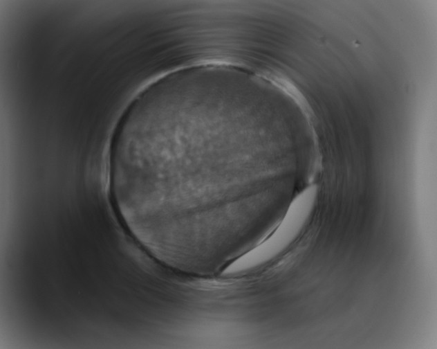 X0000089731132200707121444
