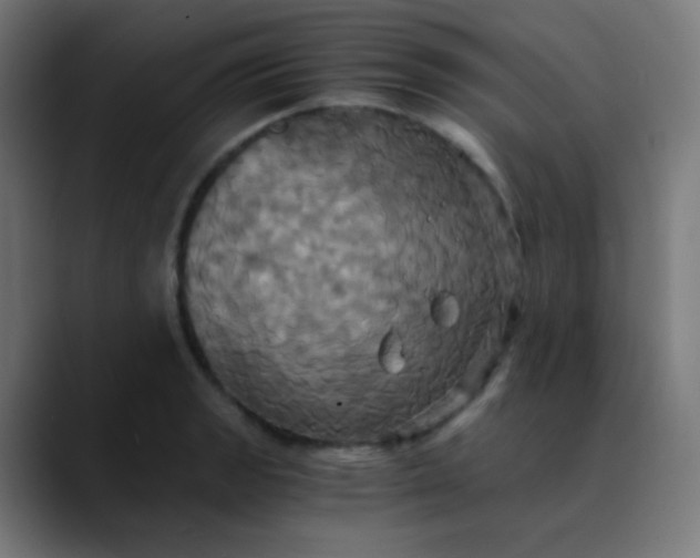 X0000089731133200707121444
