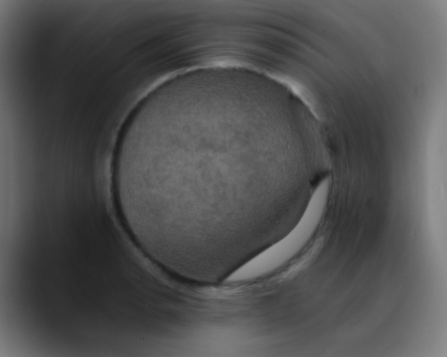 X0000089731134200707121444