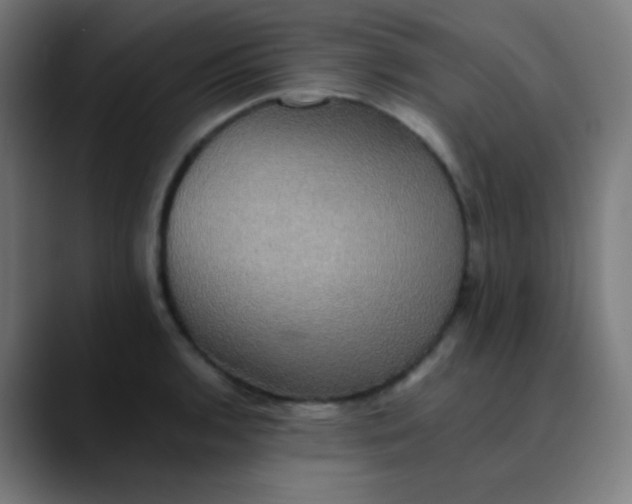 X0000089731136200707121444