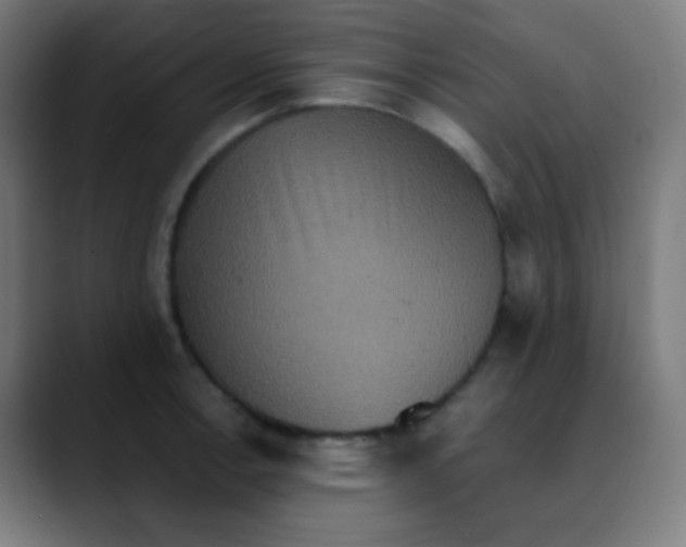 X0000089731138200707121444