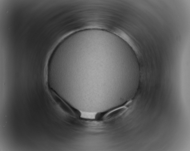 X0000089731140200707121444