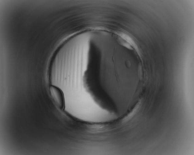 X0000089731141200707121444