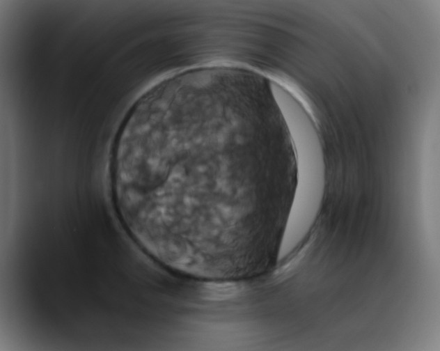 X0000089731142200707121444