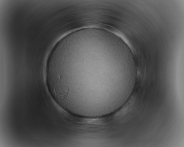 X0000089731143200707121444