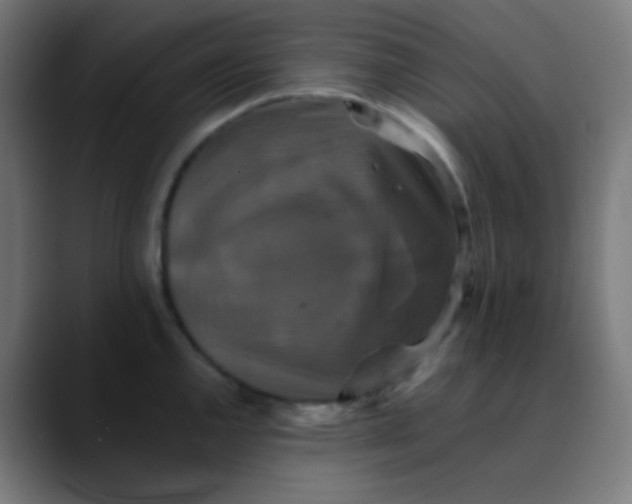 X0000089731144200707121444
