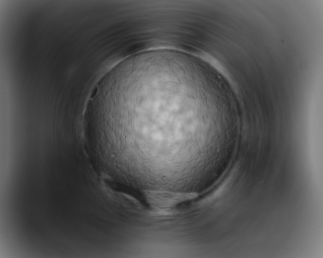 X0000089731145200707121444