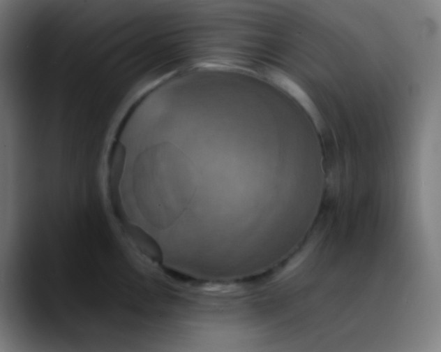 X0000089731146200707121444