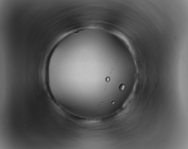 X0000089731147200707121444