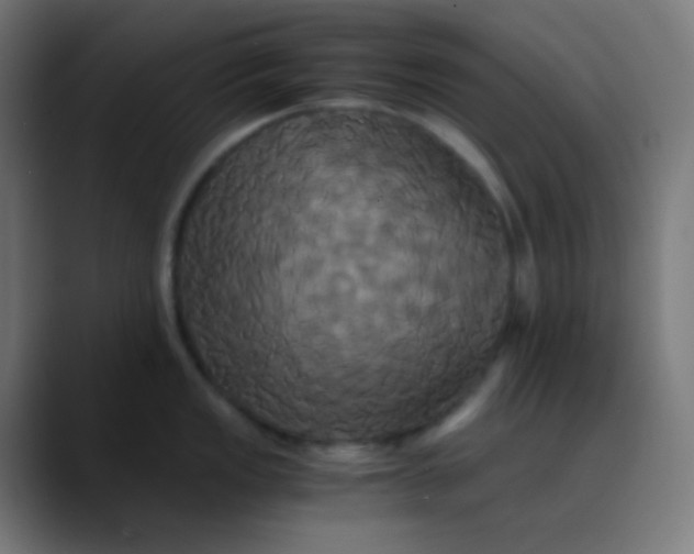 X0000089731149200707121444