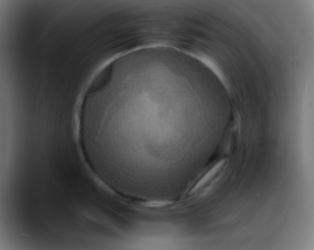 X0000089731151200707121444