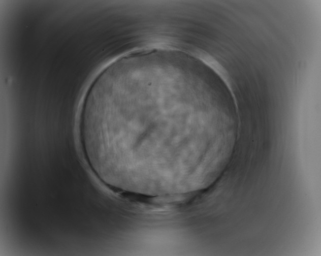 X0000089731152200707121444