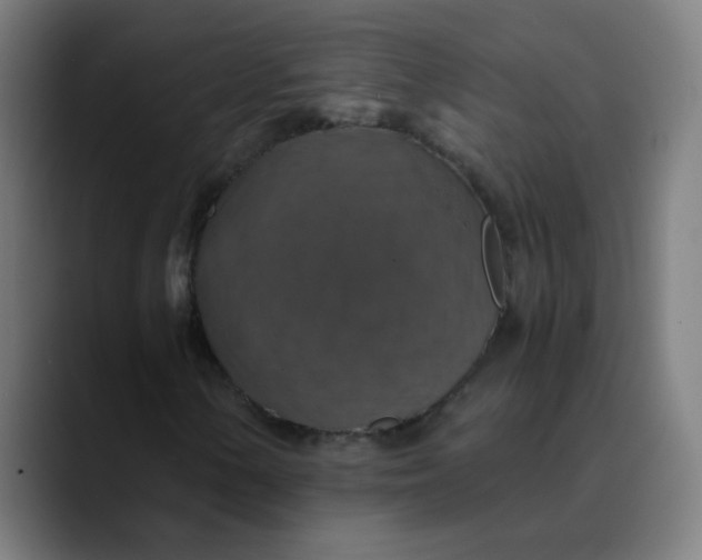 X0000089731154200707121444