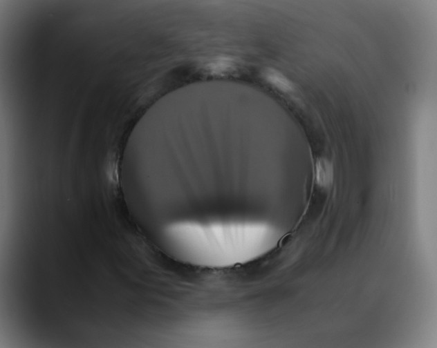 X0000089731155200707121444