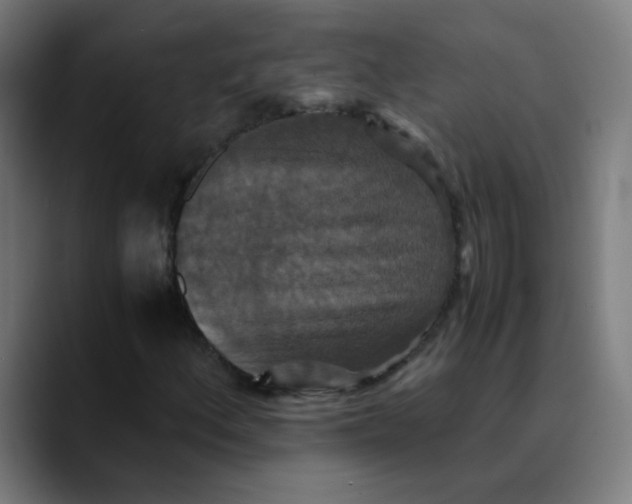 X0000089731156200707121444