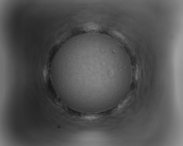 X0000089731157200707121444