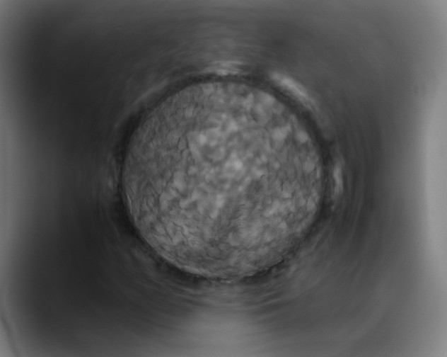 X0000089731158200707121444