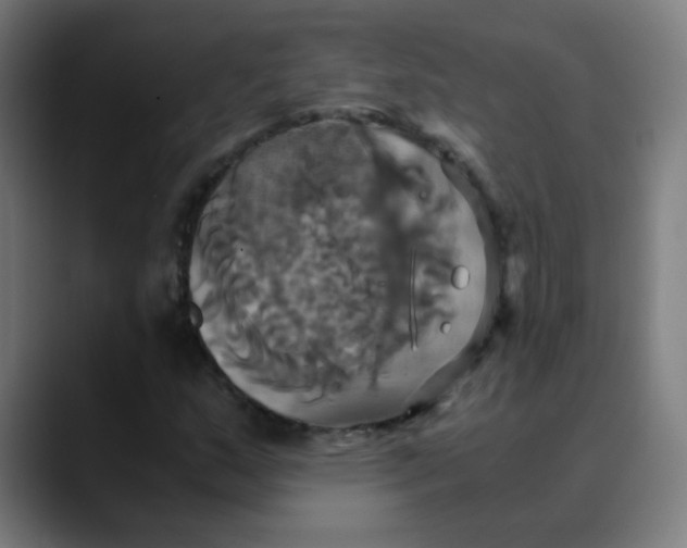 X0000089731159200707121444