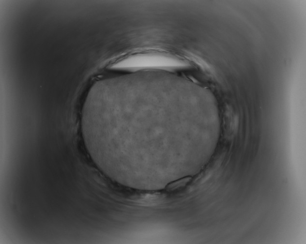 X0000089731160200707121444