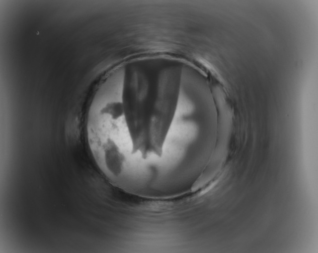 X0000089731163200707121444