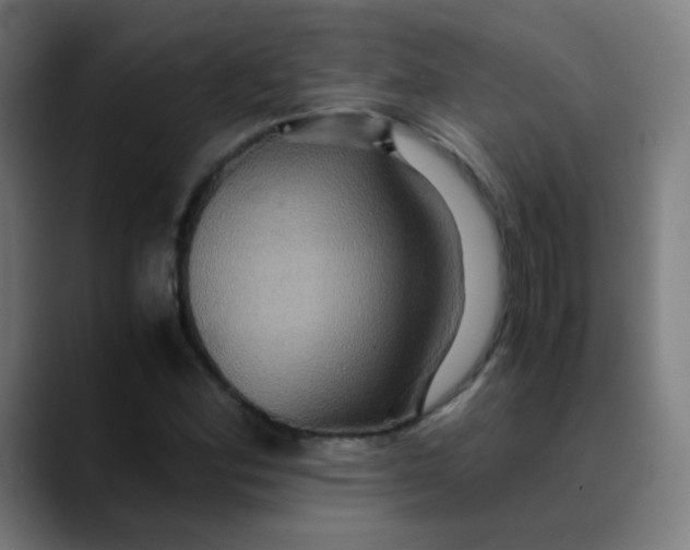 X0000089731164200707121444