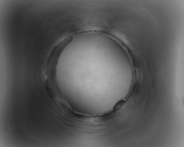 X0000089731165200707121444