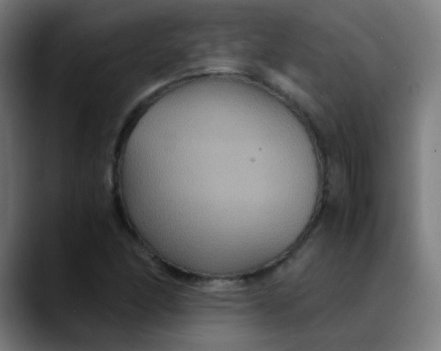 X0000089731166200707121444