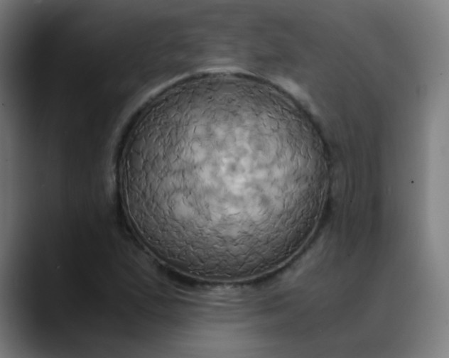 X0000089731167200707121444