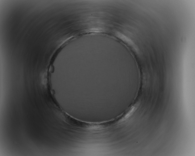 X0000089731170200707121444