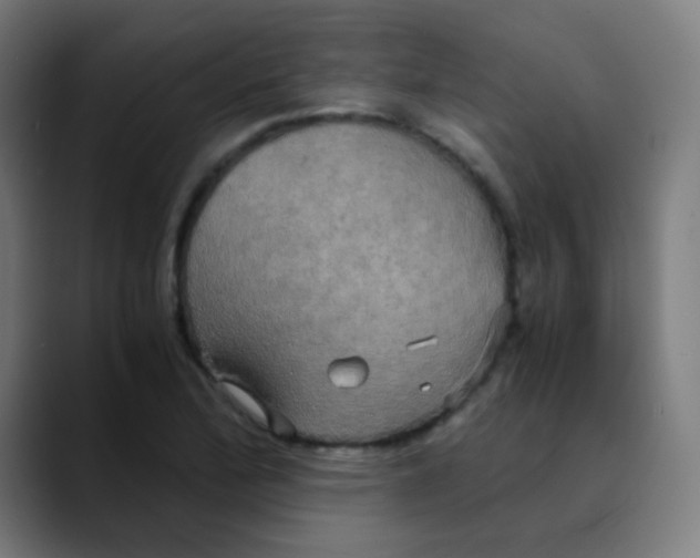 X0000089731172200707121444