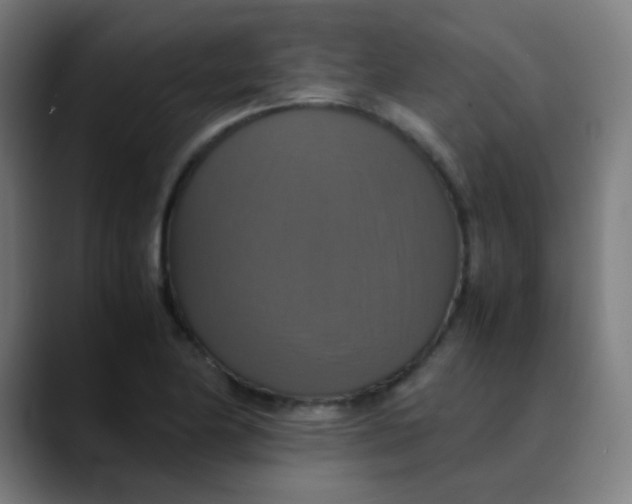 X0000089731174200707121444