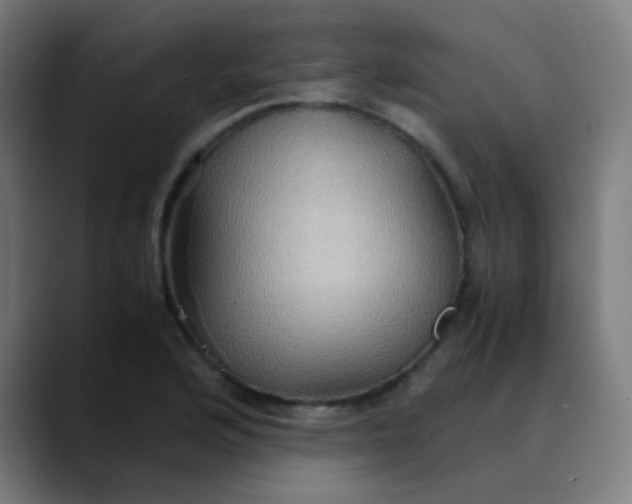 X0000089731176200707121444