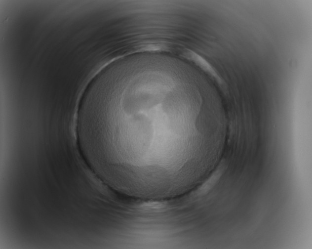 X0000089731178200707121444