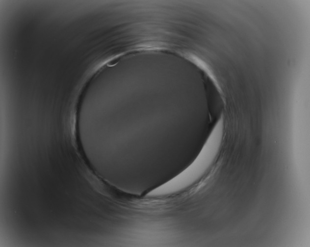 X0000089731179200707121444