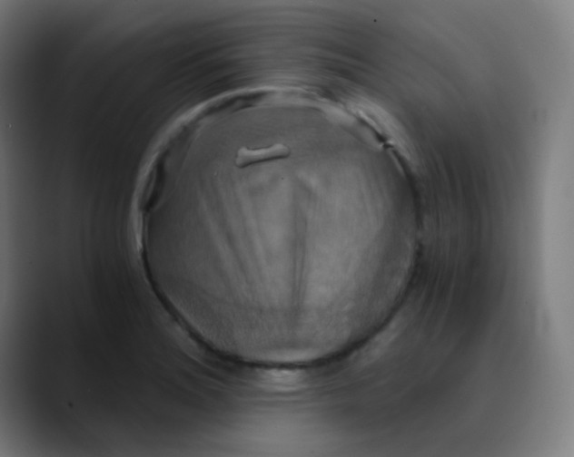 X0000089731180200707121444