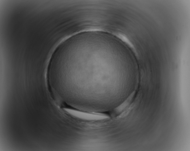 X0000089731181200707121444