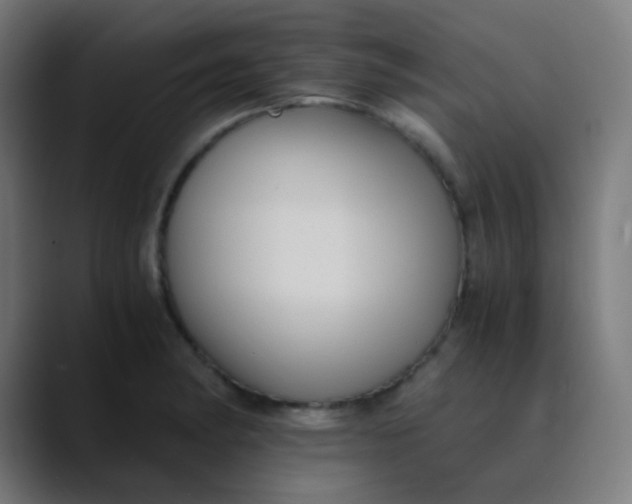 X0000089731182200707121444