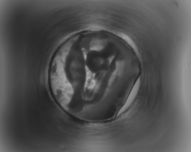 X0000089731183200707121443