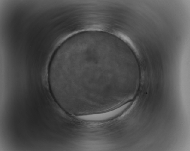 X0000089731184200707121443