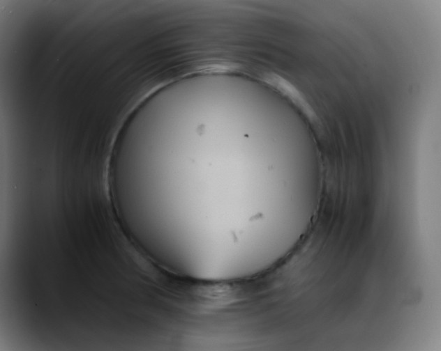 X0000089731186200707121443